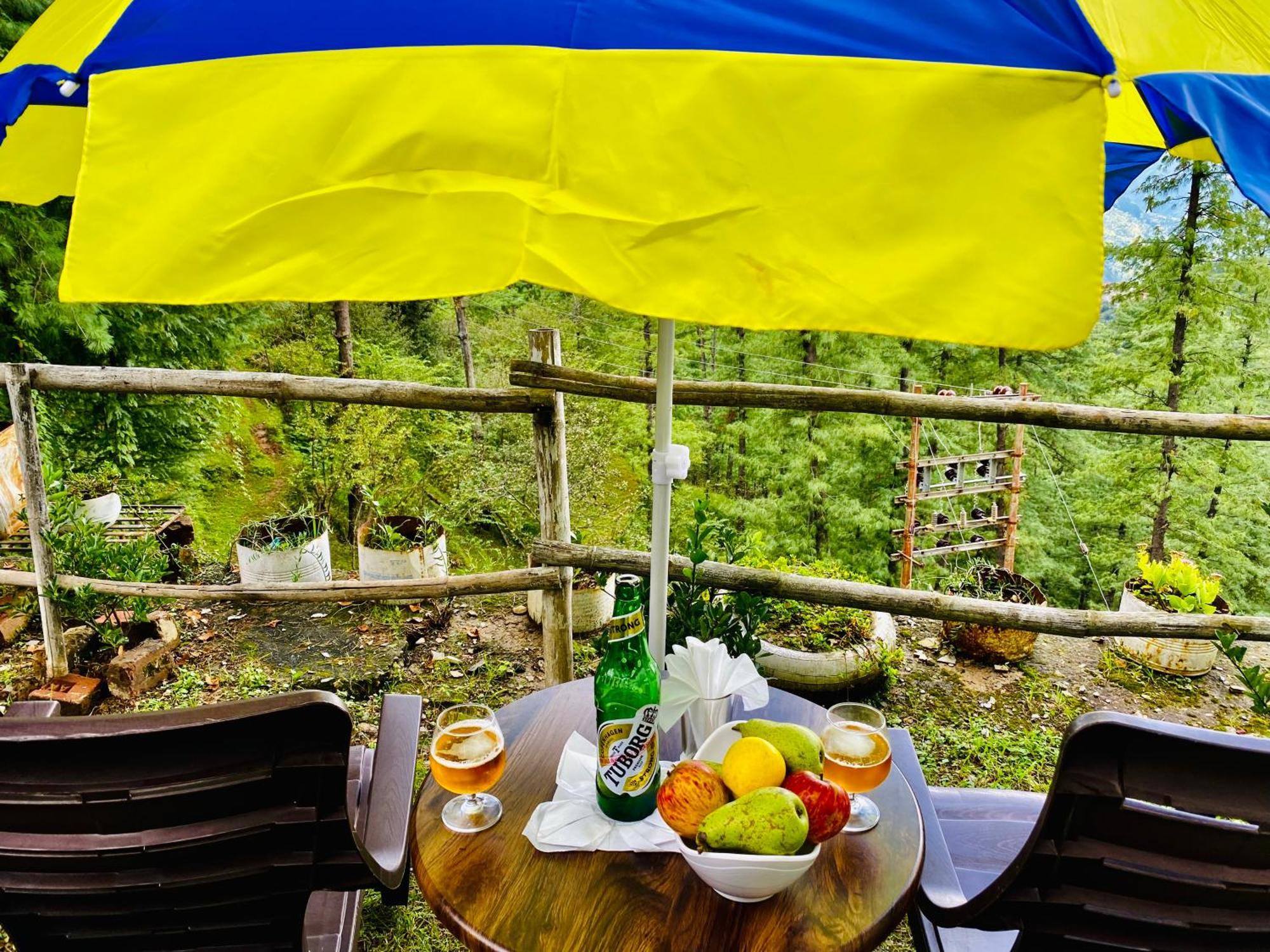 Royal Green Mashobra - Mountain And Valley View Rooms Shimla Ngoại thất bức ảnh